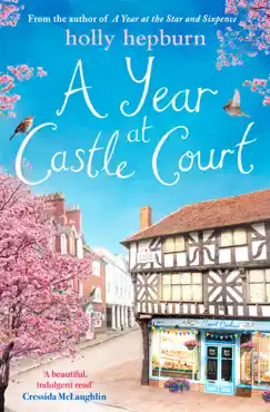a year at castle court book cover image