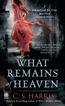 what remains of heaven book cover image