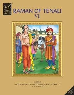 raman of tenali - vi book cover image