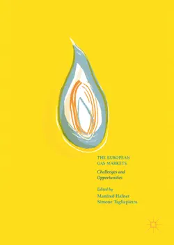the european gas markets book cover image