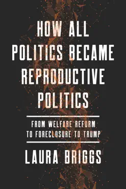 how all politics became reproductive politics book cover image