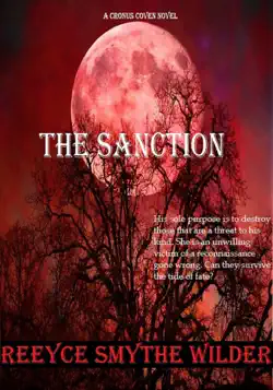 the sanction book cover image
