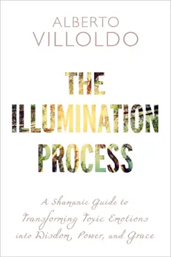 the illumination process book cover image