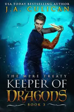 the mere treaty book cover image