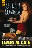 The Cocktail Waitress e-book