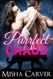 Purrfect Chaos synopsis, comments