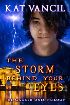the storm behind your eyes book cover image