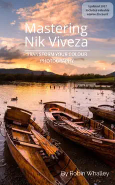 mastering nik viveza book cover image