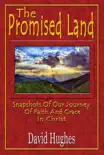The Promised Land: Snapshots Of Our Journey Of Faith And Grace In Christ sinopsis y comentarios