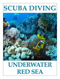 scuba diving - underwater red sea book cover image