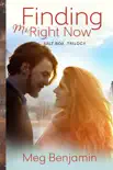 Finding Mr. Right Now synopsis, comments