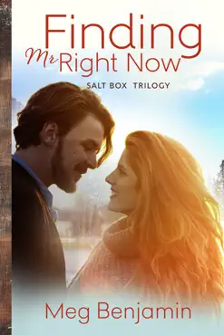 finding mr. right now book cover image