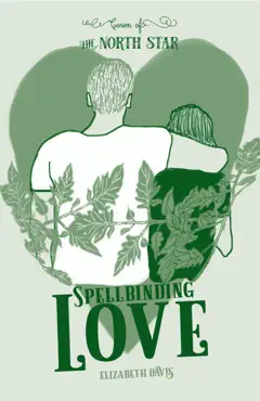 spellbinding love book cover image
