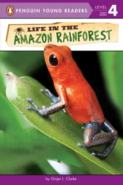 life in the amazon rainforest imagen de la portada del libro