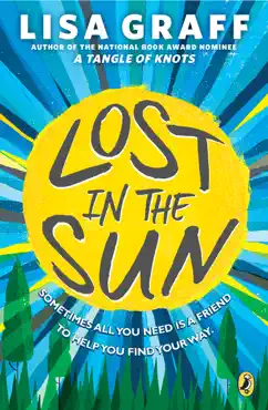 lost in the sun book cover image