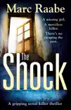 The Shock synopsis, comments