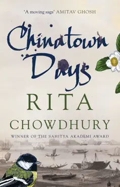chinatown days book cover image