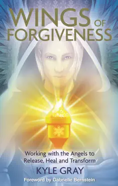 wings of forgiveness book cover image