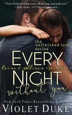 every night without you book cover image