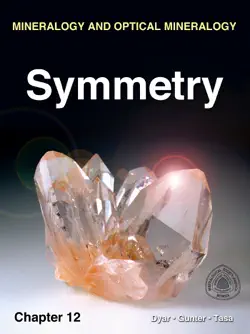 symmetry imagen de la portada del libro