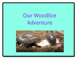 our woodlice adventure imagen de la portada del libro