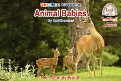 animal babies book cover image