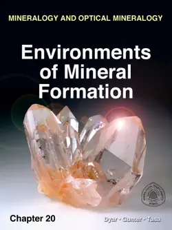 environments of mineral formation book cover image