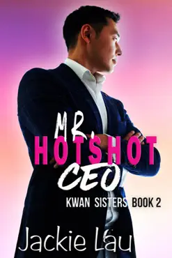 mr. hotshot ceo book cover image