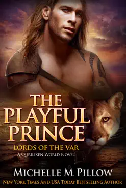 the playful prince book cover image