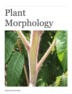 plant morphology title book cover image