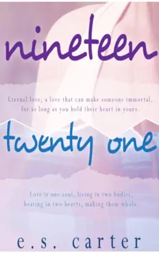 nineteen & twenty one duet: box set book cover image