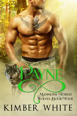 payne book cover image