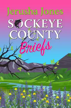 sockeye county briefs book cover image