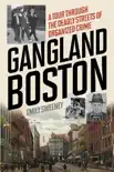Gangland Boston synopsis, comments