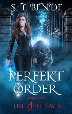 perfekt order (the Ære saga book 1) book cover image