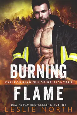burning flame book cover image