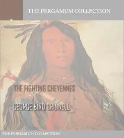 the fighting cheyennes book cover image
