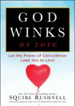 God Winks on Love synopsis, comments