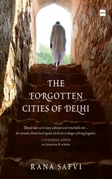 the forgotten cities of delhi book cover image
