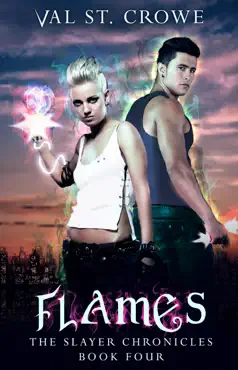 flames book cover image