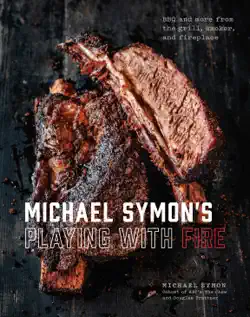 michael symon's playing with fire book cover image