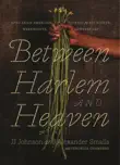 Between Harlem and Heaven synopsis, comments