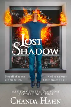 lost shadow book cover image