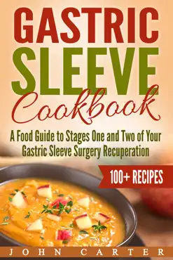 gastric sleeve cookbook book cover image