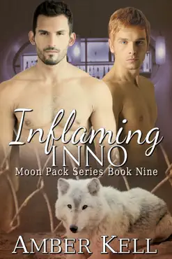 inflaming inno book cover image