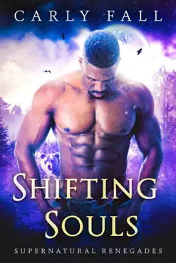 shifting souls book cover image