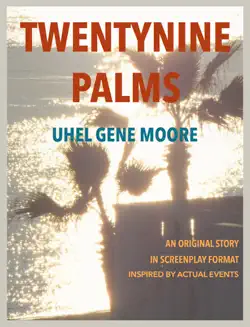 twentynine palms book cover image