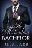 The Meticulous Bachelor synopsis, comments