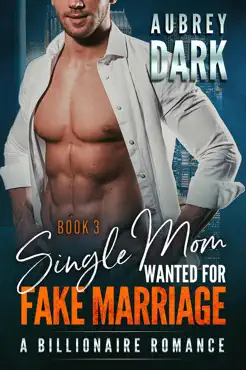 single mom wanted for fake marriage - book three book cover image