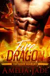 Fire Dragon synopsis, comments